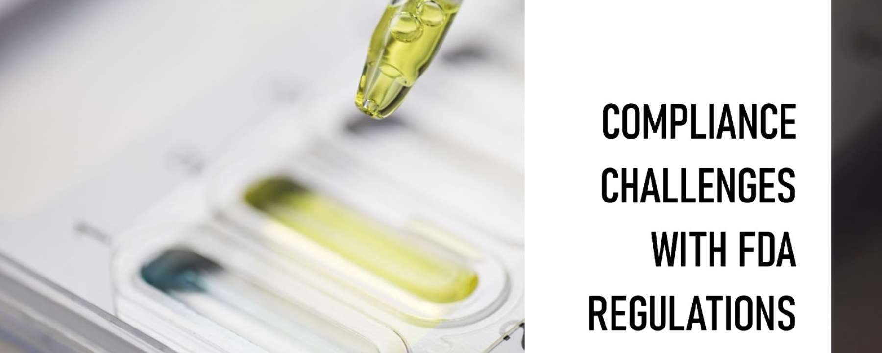 FDA Regulations and Compliance: Ensuring Safety in the Industry