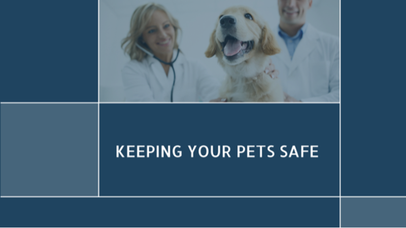 Post-Marketing Surveillance in Veterinary Products: Ensuring Safety and Efficacy 